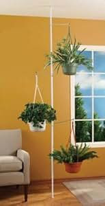 Amazon.com : SPRING TENSION ROD INDOOR PLANT POLE WITH 3 