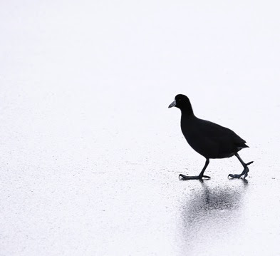 Black and White Photography - Cool Chick