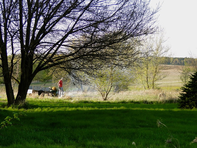 DSC00971
