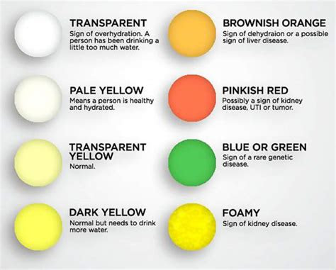 That hue comes from a pigment your . what the color of your urine says about your health
