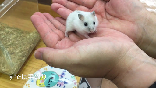 イメージ