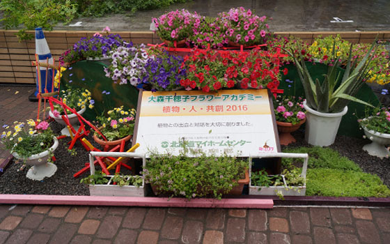 花フェスタ16札幌 写真レポート Page4of5 花市場 フラワーディスプレー 他 Web雑記