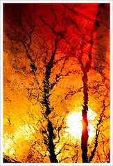 Indian sun...!!!