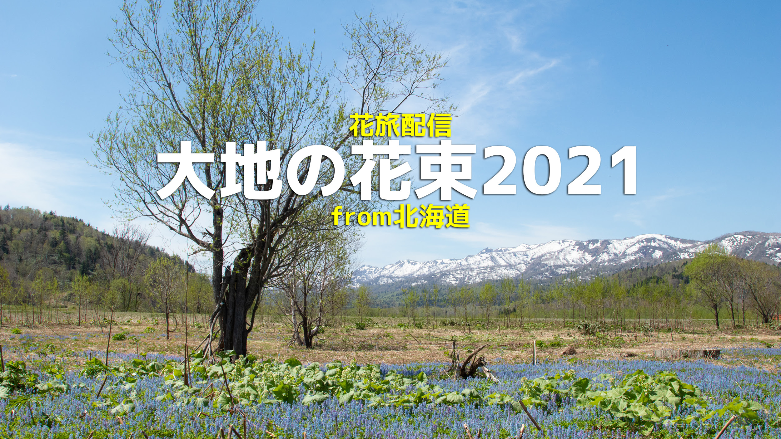 植物検索システム 撮れたてドットコム