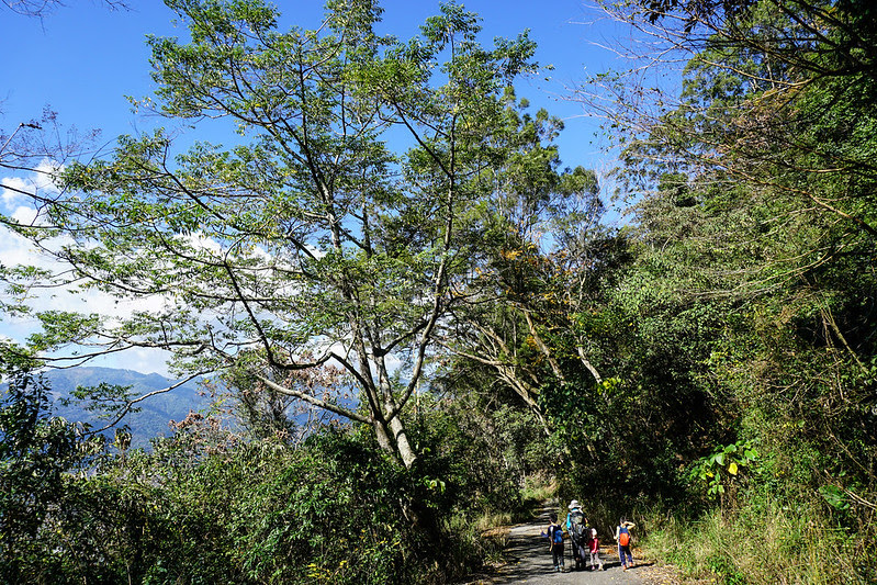 DSC08265