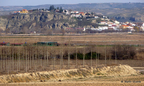 Titulcia
