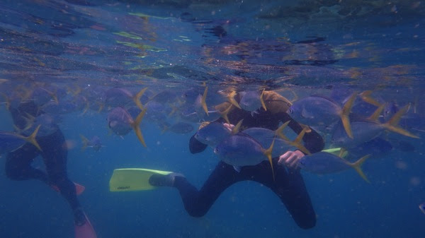 Great Barrier Reef Whitsundays