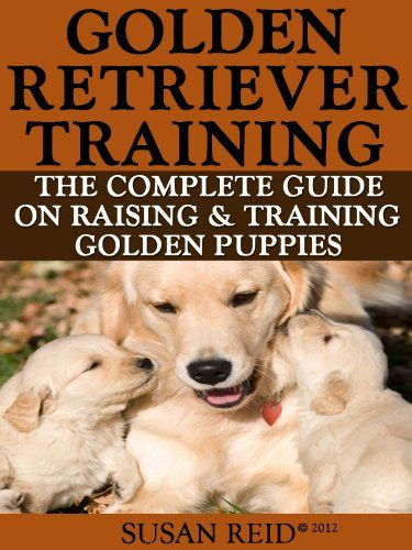 Golden Retriever Training: Breed Specific Puppy Training Techniques ...