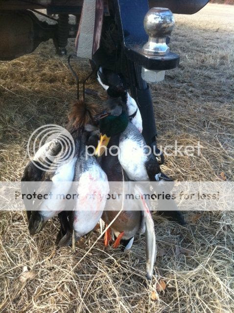North East Texas Duck Clubs, Leases, & Guided Hunts : Texas Duck Hunting