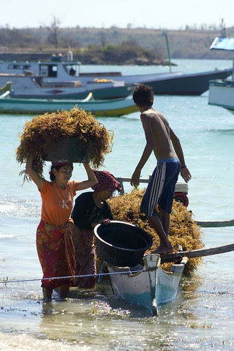 unloading harvest at Serewe
