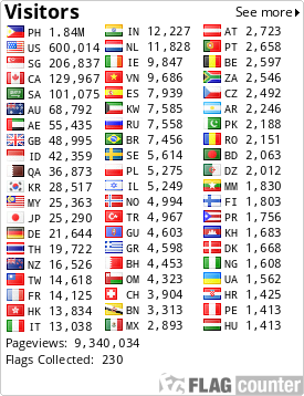 Flag Counter