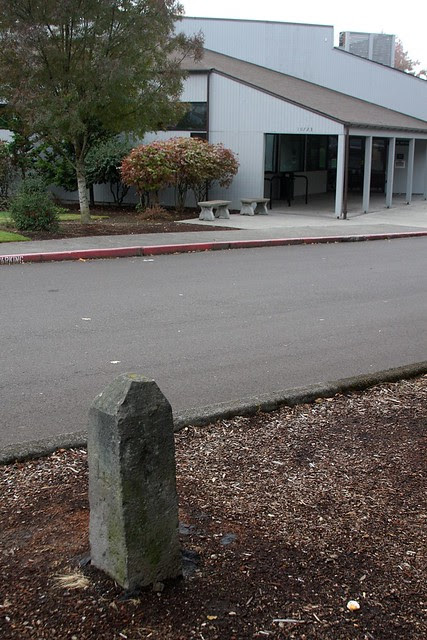 SW Milestone P7
