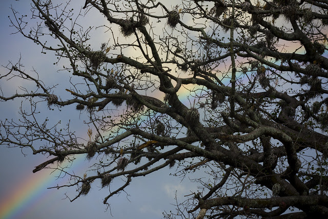 El arcoiris mas bello que he visto