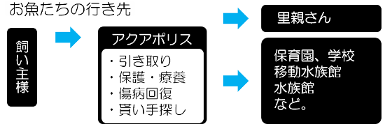 熱帯魚 買取 アクアポリスの熱帯魚の買取 引き取り 引越し 里親探しサイト 水槽 器具もo K