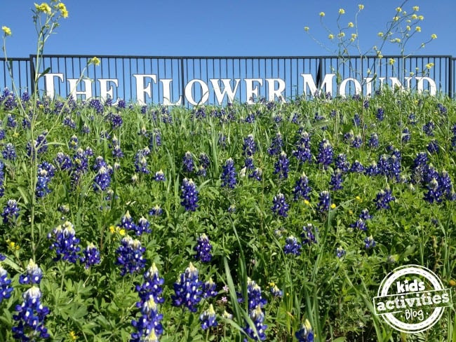 The Flower Mound in Flower Mound Texas