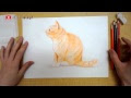 色鉛筆 イラスト 描き方 動物 146407-色鉛筆 イラスト 描き方 動物