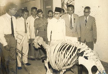 http://rinaldimunir.files.wordpress.com/2009/03/277.jpg