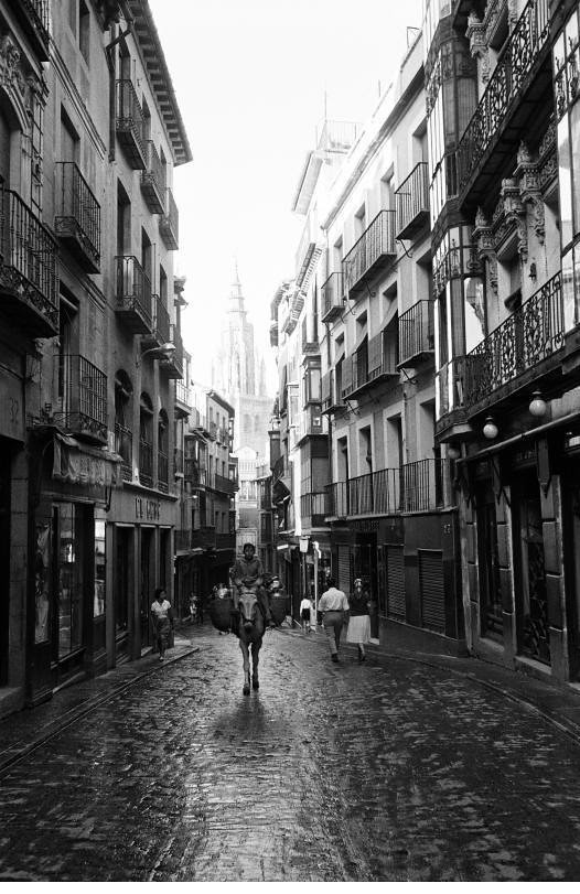 Burro en la Calle Ancha de Toledo en septiembre de 1962. Fotografía de Harry Weber. Österreichische Nationalbibliothek
