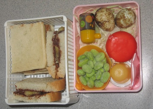 Bento 10/22/08
