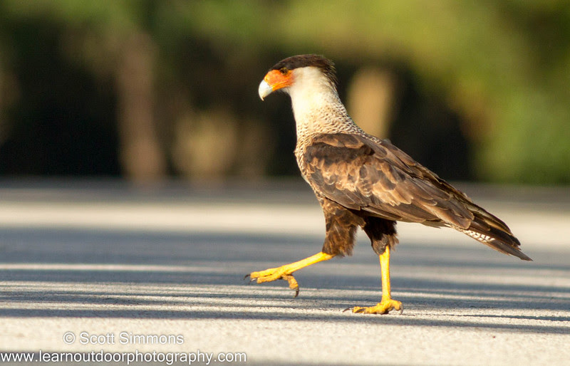 Photo & Video Sharing by SmugMug