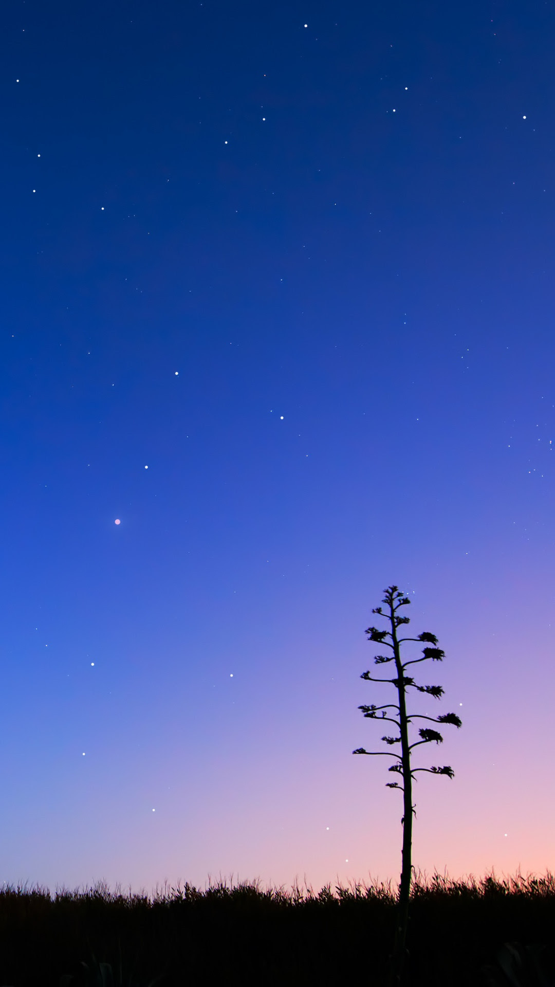  Night  Sky  Wallpapers  67 images 