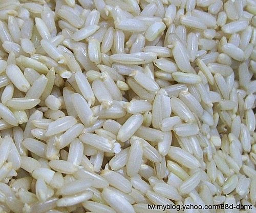 發芽米 安齊廚房 全麥達人 痞客邦
