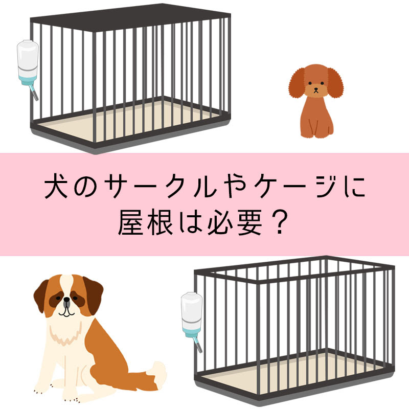 犬のケージやサークルに屋根は必要 屋根付きのメリットや向いている犬は