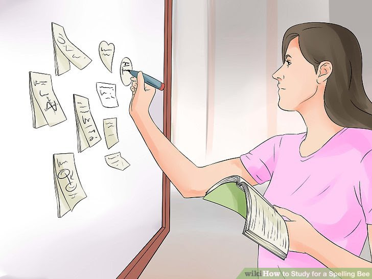 Create Study Guides Step 1 Version 3.jpg