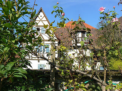 maison des voisins.jpg