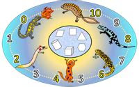 First grade · second grade · third grade · fourth grade · fifth grade math worksheets education from the math salamanders