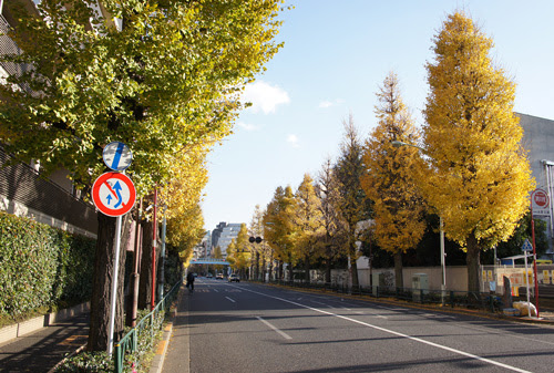 オトノハカフェ 江戸川橋 チャリカフェ