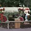 Holidays at Tokyo Disney Resort