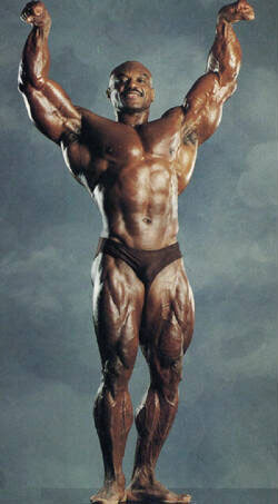 arnold schwarzenegger bodybuilding workout