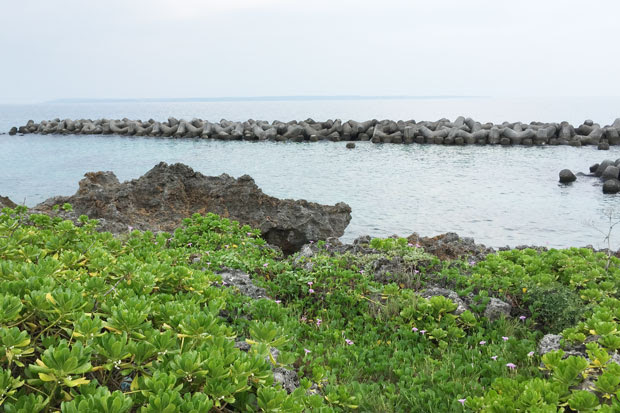 池間の宿 凹凸屋 池間島 宮古島ナビ