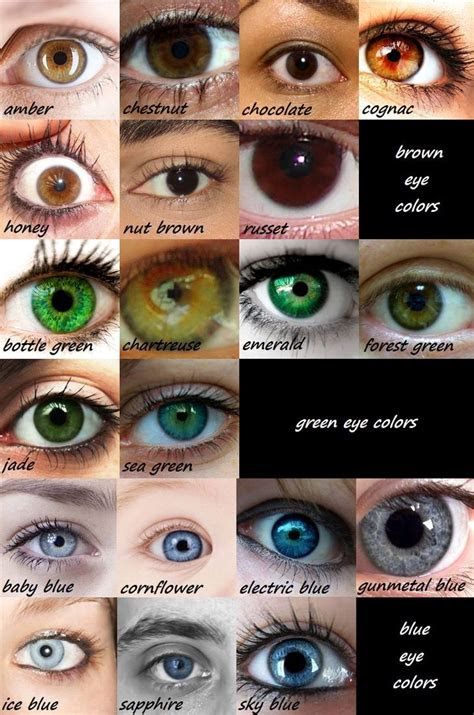 A newborn's eyes typically are dark, and the color is often related to their skin tone. eye color chart by lemontrash on deviantart