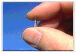 Biochip