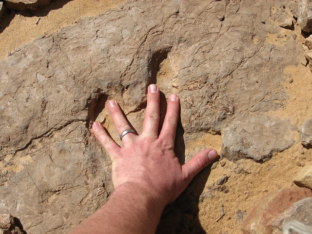 Horsehoe Canyon 02.23.08