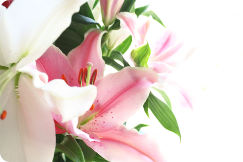 *pretty pink* {1}