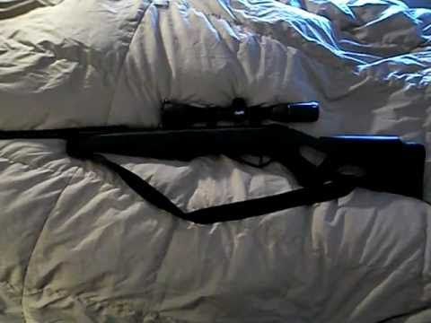 Overview Of My GAMO Silent Cat .177