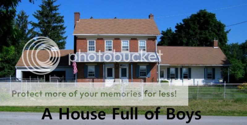 A House Full of Boys