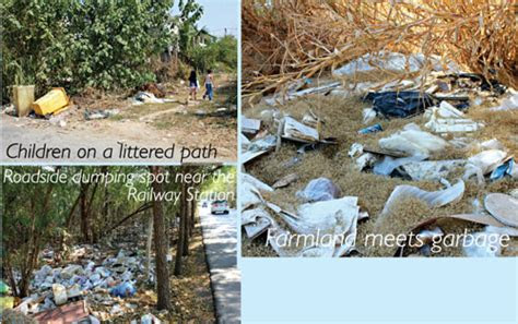 chiang mai citylife dirty litter secrets chiang mais