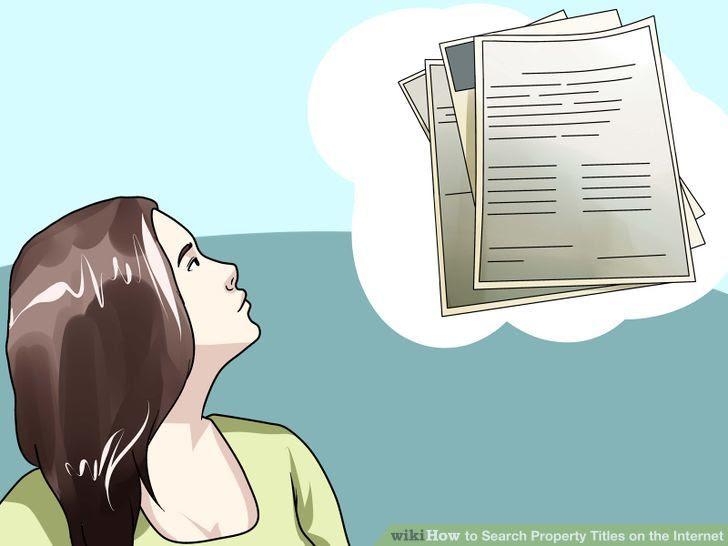 Search Property Titles on the Internet Step 2 Version 5.jpg