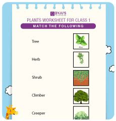 Webbrowse 1000+ worksheets for evs. engaging evs worksheets for kids download free printables inside