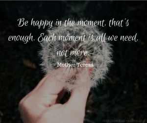 Mindfulness Quote - Mother Teresa