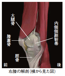飯島整形外科 ドクター飯島のスポーツ医学ｑ A