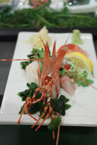 Sashimi Platter (Amaebi, Isaki, Maguro, Aji, Toro)