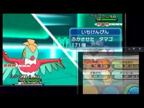 ディアンシー 育成論