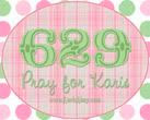 Caring for Karis | karisalmy.com
