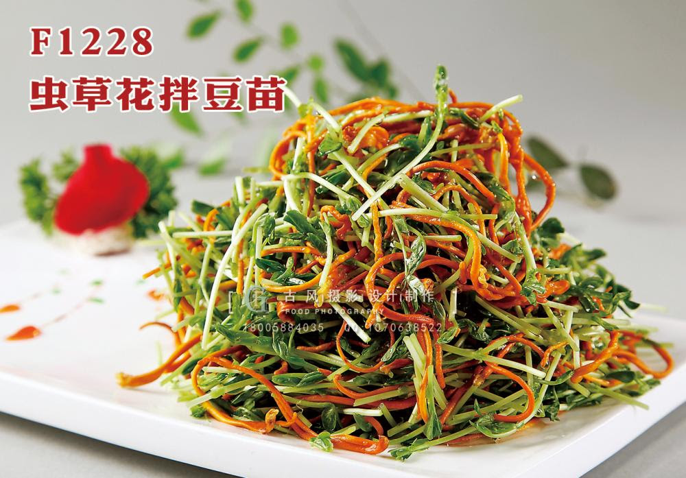 F1228虫草花拌豆苗副本