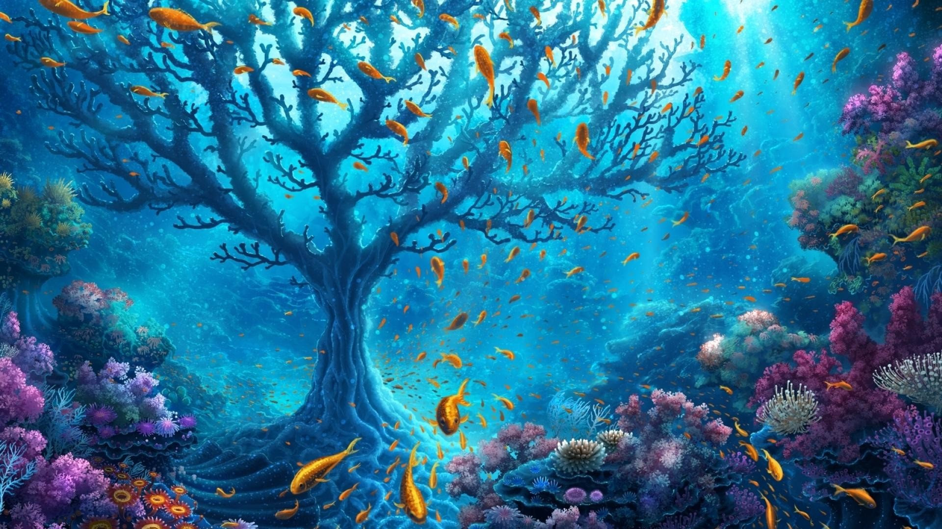 Underwater HD Wallpapers 1920x1080 (79+ images)